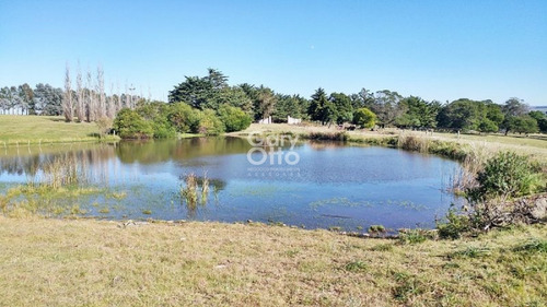 Chacra En Venta Laguna Del Sauce 1 Dormitorio- Ref: 4699