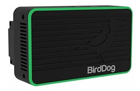 Codificador Birddog Flex 4k Ndi Para Mochila