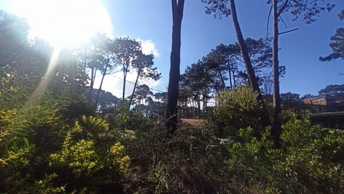 Lote En Venta (ref: Bpv-7048)