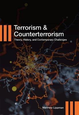 Libro Terrorism And Counterterrorism : Theory, History, A...