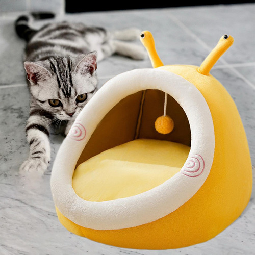 Gran Gato Cueva S Caracoles Caracoles S Caracoles Caracoles