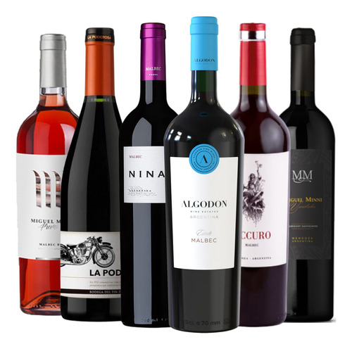 Vinos Caja Degustacion Boutique Entry Level 6 Botellas --