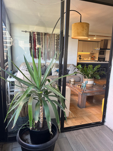 Bajos Gastos Comunes, Remodelado (100435)