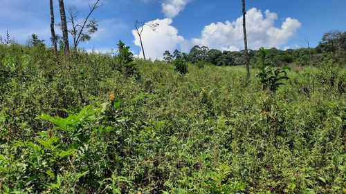 (k.a) Corra Antes Que Acabe - 1.000m2 Confira Lotes Fechados