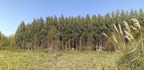 Imagen 5 de 11 de Terreno - Canal La Serna