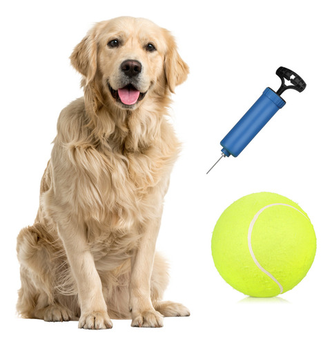 Juguete Inflador Para Perros Y Perros, Tenis Para Niños, 5 P