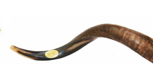 Imagem 4 de 8 de Shofar De Chifre Antilope + Capa + Brindes - De Israel #j3