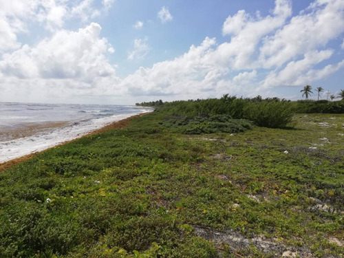 Imagen 9 de 16 de Oportunidad!! Terreno Frente Al Mar Mahahual-rio Indio P2699