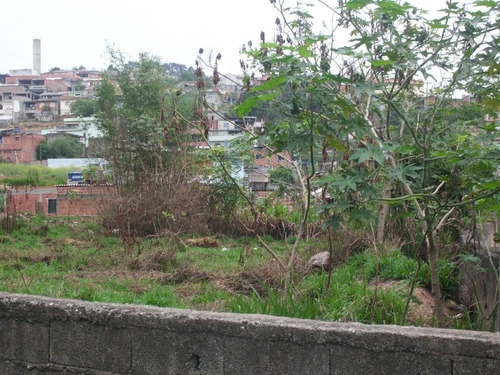 Imagem 9 de 15 de Terreno Em Jardim Luciana - Franco Da Rocha - 193
