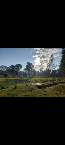 Imagen 2 de 13 de Chacra,campo Muy Centrica A 4km Del Centro De Jardin Americo