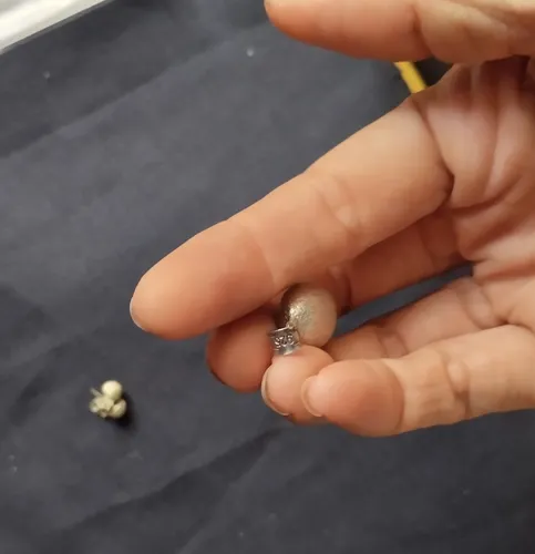 Dije De Plata Con Zarcillos