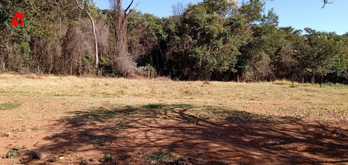 Imagem 7 de 7 de Chacara - Vila Uniao - Ref: 1425 - V-1425