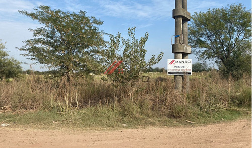 Campo En Venta - Marcos Paz Limite Con 20 De Junio
