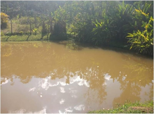 Imagem 3 de 14 de Excelente Chácara Com Piscina E Lago Cod: 4461