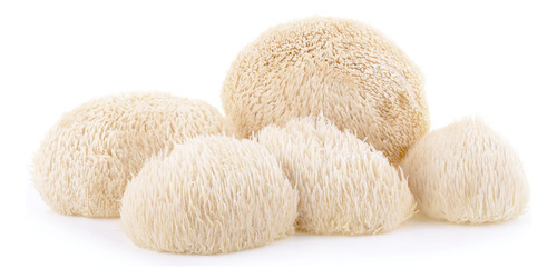 Kit 3 Extratos Juba De Leão - Hericium Erinaceus 30ml