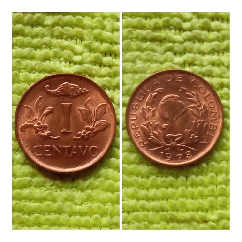 Moneda De 1 Centavo De 1.973.