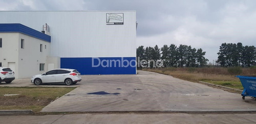 Imagen 9 de 30 de Depósito Galpón En Venta O Permuta Ubicado En General Rodríguez, General Rodríguez