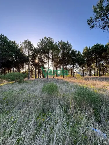 Terrenos En Venta Financiados Últimos En Montes De Solymar