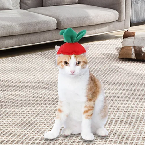 Perro Gato Sombrero Sombrero Traje Sombrero Hojas De Fresa