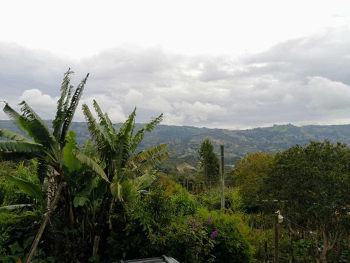 Imagen 23 de 29 de Finca Para La Venta En Guarne Vereda El Sango 620 M²