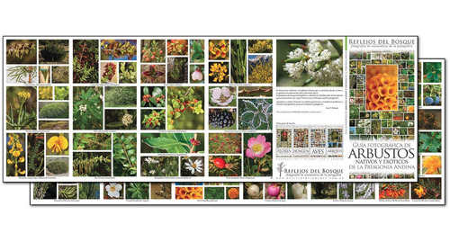 Colección Entera 9 Guías Fotog. De Naturaleza De La Patag.