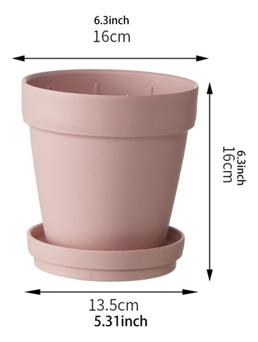 Planta De Maceta De Flores De Flor, Novedad, Olla De Vivero