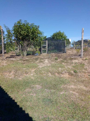 Imagem 6 de 14 de Venda De Chácara Em Bofete Sp