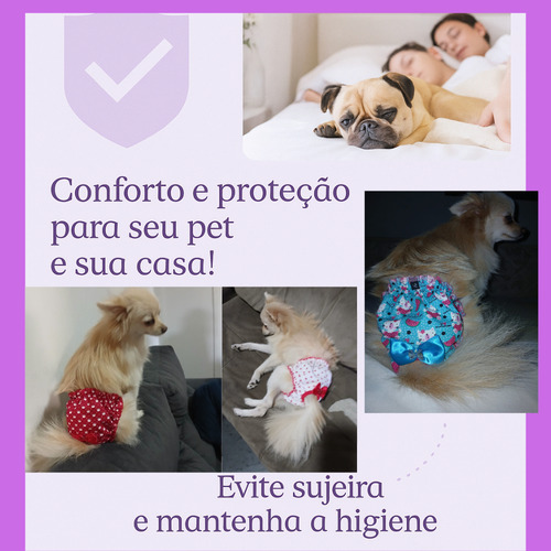 Calcinha Higiênica Bebe Pet 2 Un Para Menstruação, Própria
