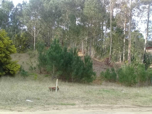 Imagen 2 de 5 de Oportunidad Lote En Venta