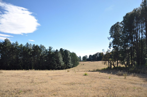 Imagen 7 de 12 de Amplio Rancho: Privado, Verde Y Fértil