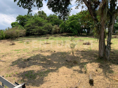 Terreno En Venta En Coatepec, Veracruz