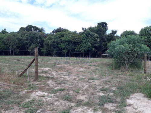 Imagem 16 de 30 de Chácara, Campo Alto, Pirassununga - R$ 180 Mil, Cod: 10131719 - V10131719