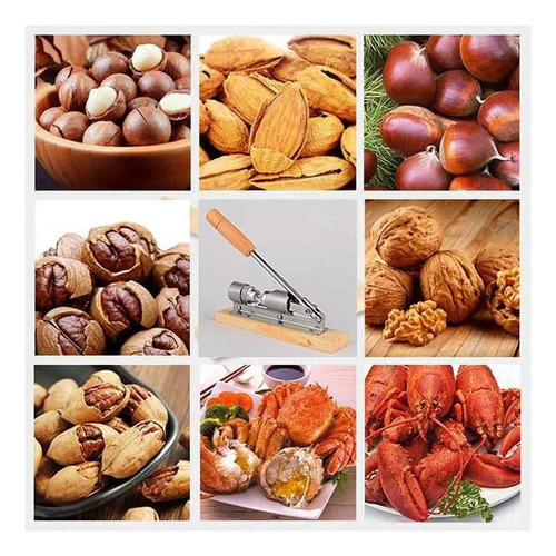 Clipe De Noz-pecã B Alimentos Ferramentas