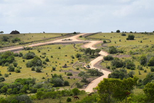 Imagen 4 de 27 de Chacra - Pueblo Edén
