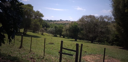 Imagem 17 de 17 de Sítio 5,6 Alqueires, 100% Tratoravel, Casa Sede, Casa De Caseiro, Poço Artesiano, 18 Cabeças De Gado, Porcos,galinhas, 2 Cavalos, Reservatorio De Agua - St00127 - 70193318