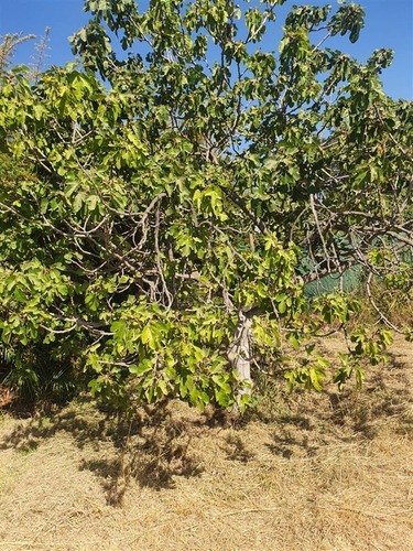 Imagen 12 de 22 de Venta Lote En Pirque 875m2 Sector Urbano, Rol Propio