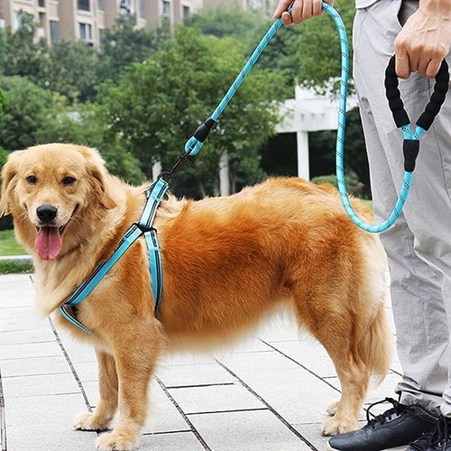 Guia Conforto Cachorro Médio E Grande Porte Corda 1,2 Metros