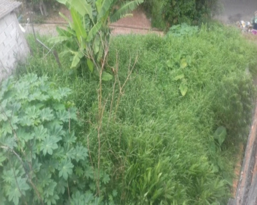 Imagem 3 de 13 de Terreno - Te0020 - 32142050