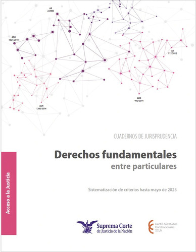 Derechos Fundamentales Entre Particulares 