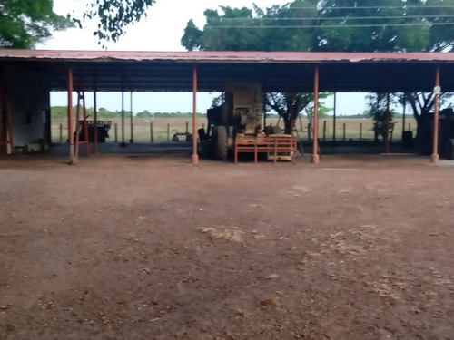 Imagen 10 de 11 de Venta De Espectacular Hato En Calabozo Estado Guárico