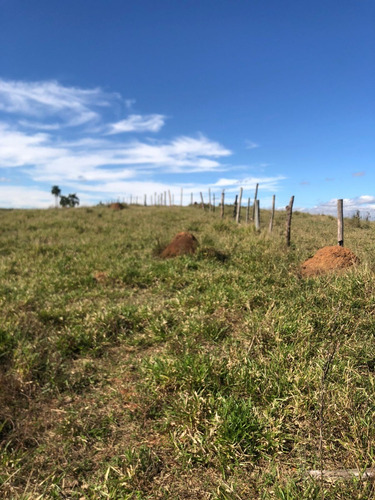 Imagem 3 de 20 de A23d- Compre Seu Terreno De 1.000m² Para Sitio!