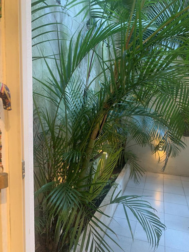 Imagen 5 de 20 de Departamento En Venta 2 Ambientes - Palermo