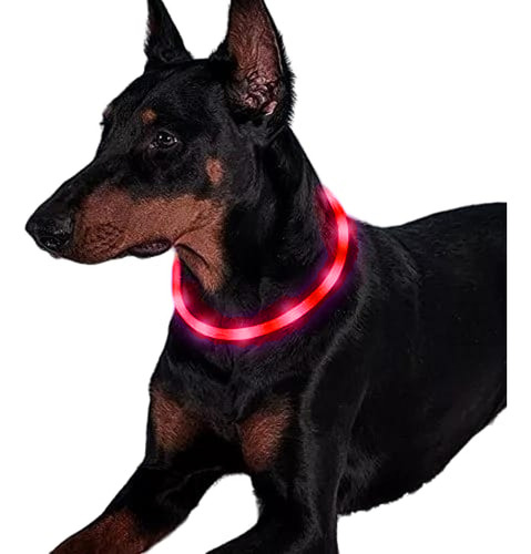 Collar Luces Luz Led Luminoso Mascota Gatos Y Perros Recarga