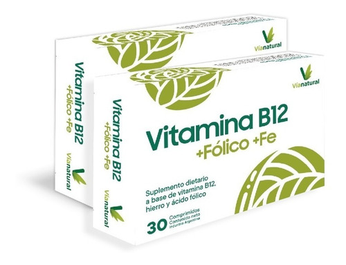 Vitamina B12 Hierro Ácido Fólico X 2 Un. Vegano Evita Anemia