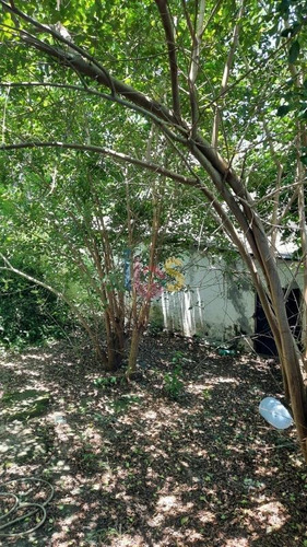 Imagem 7 de 7 de Vendo Casa Com 3/4 Em Olivença - 7717