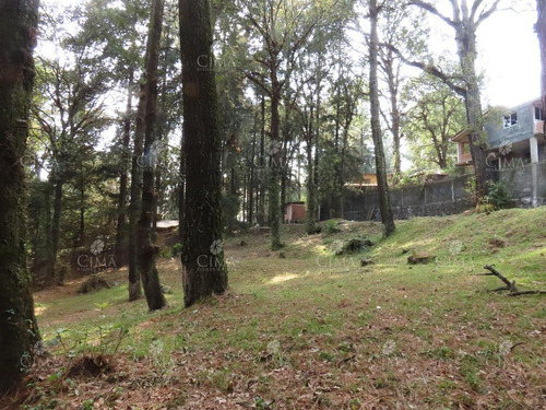 Imagen 7 de 14 de Venta Terreno En Fraccionamiento San José De La Montaña - T41