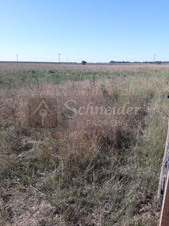 Imagen 7 de 8 de Se Vende Campo De 13 Has Agricola-ganadero En Carmen De Areco