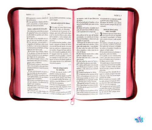 Santa Biblia Reina Valera 1960 Letra Grande Rosada