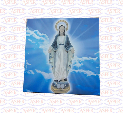 Azulejo Exterior/interior 20x20 Virgen De La Medalla Milagro