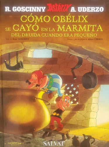 Asterix Como Obelix Cayo En Marmita Druida Cuando Pequeño